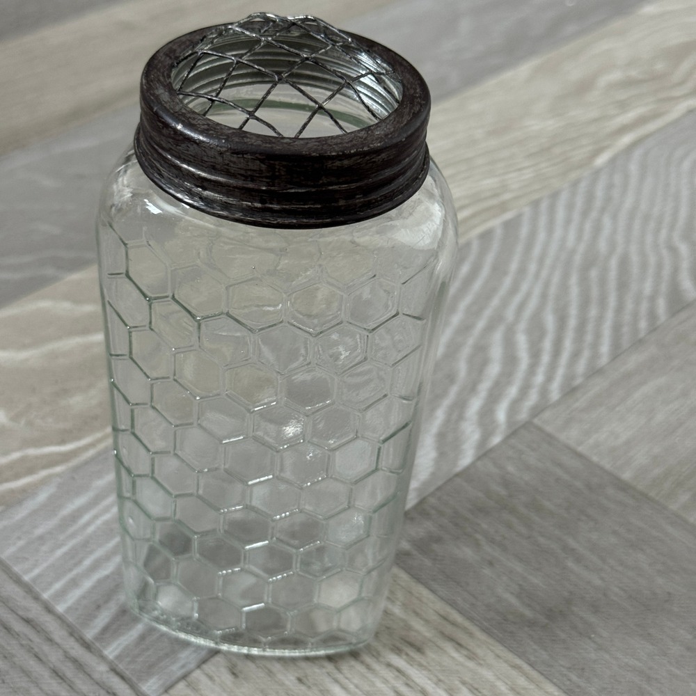 Honeycomb Glass Flower Frog Vase Rustic Metal Wire Lid Clear Bee Pattern 6.5in